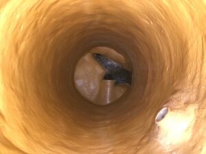 "After" image showing the same space applied with SprayWall.